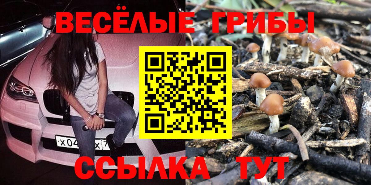 Галлюциногенные грибы Psilocybine cubensis Урай